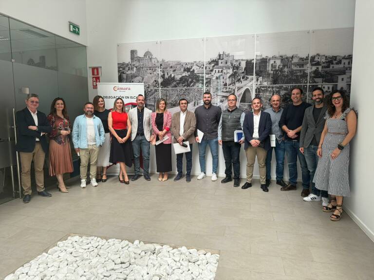 Los empresarios de Elche piden reforzar los controles y las sanciones al taxi y facilitar la llegada de VTC