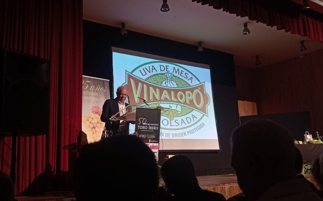 CEDELCO asiste al primer corte de Uva de Mesa Embolsada del Vinalopó