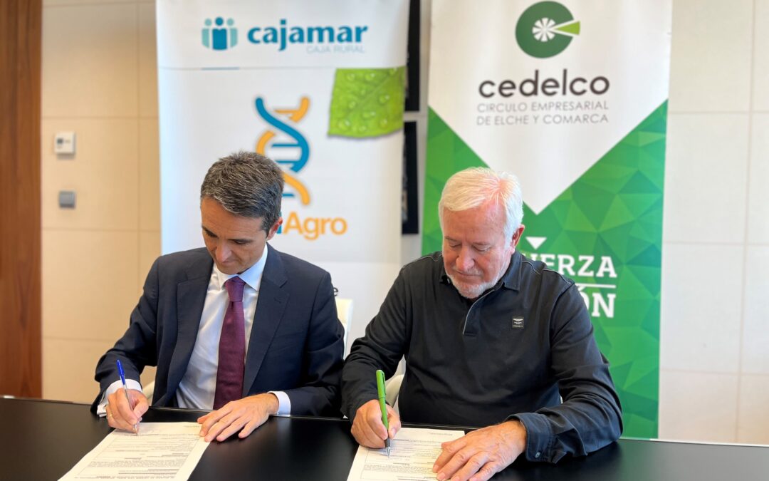 CEDELCO y Cajamar renuevan su compromiso con el tejido empresarial de Elche y comarca